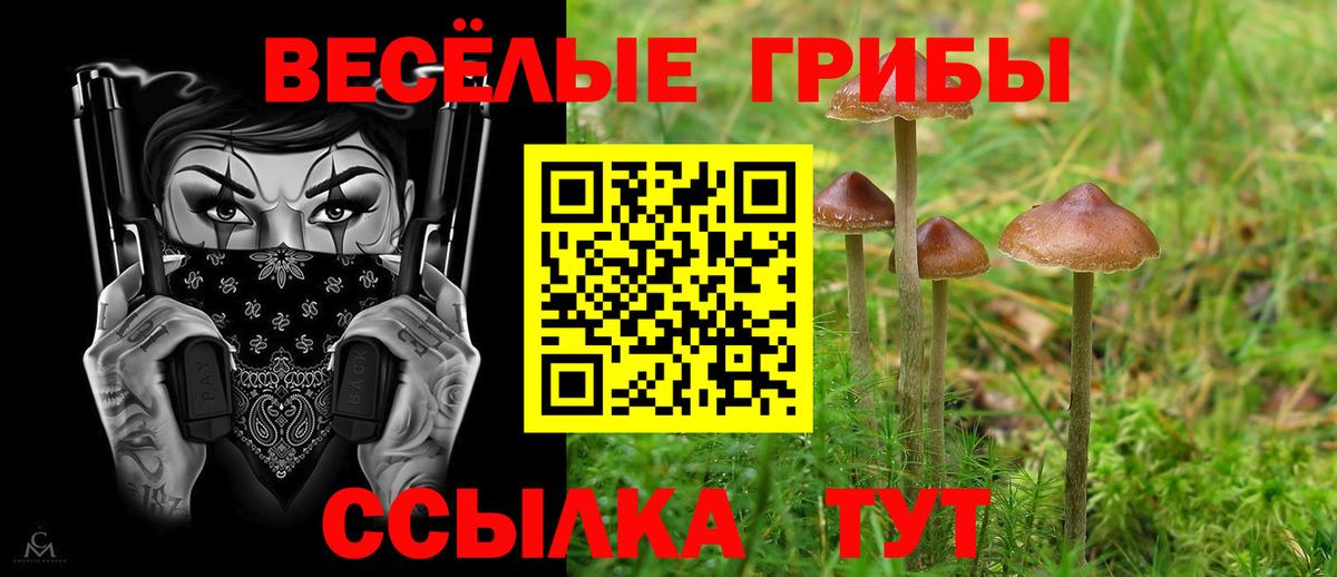Галлюциногенные грибы ЛСД Шахты